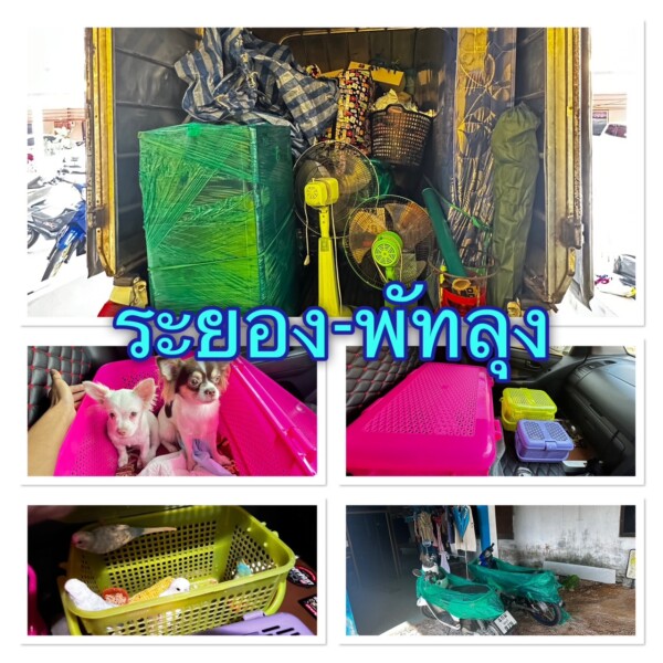 รถรับจ้างสายใต้ (60)
